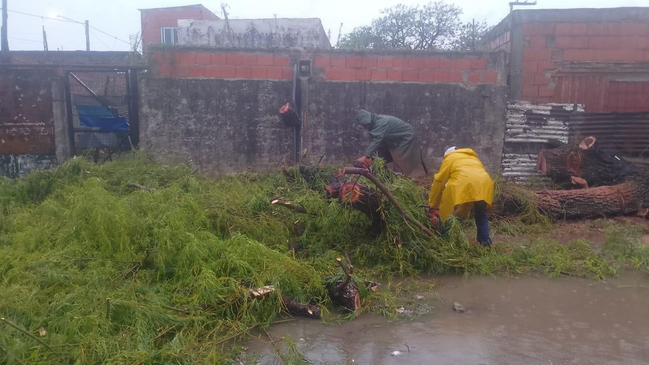 SAN LUIS DEL PALMAR: FUERTES VIENTOS CAUSARON DAÑOS EN LA ZONA RURAL