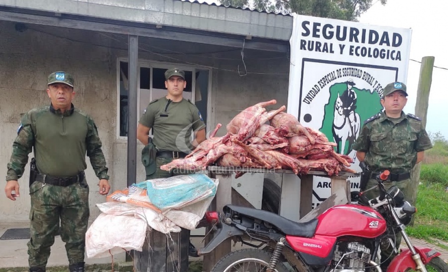 TRES DETENIDOS POR ROBAR Y FAENAR 12 OVEJAS EN UN CAMPO DE BONPLAND